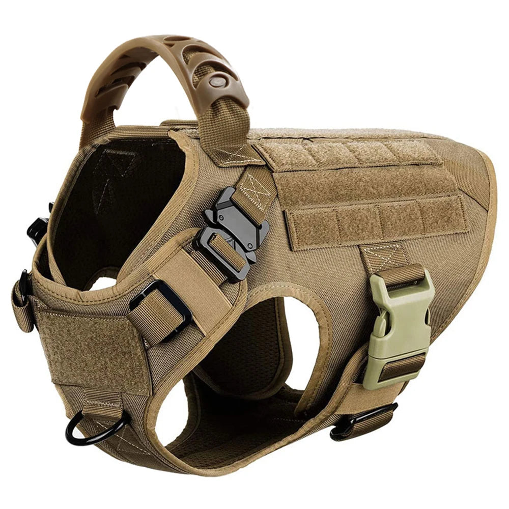 Large Dog Harness And Leash Set For Training Walks