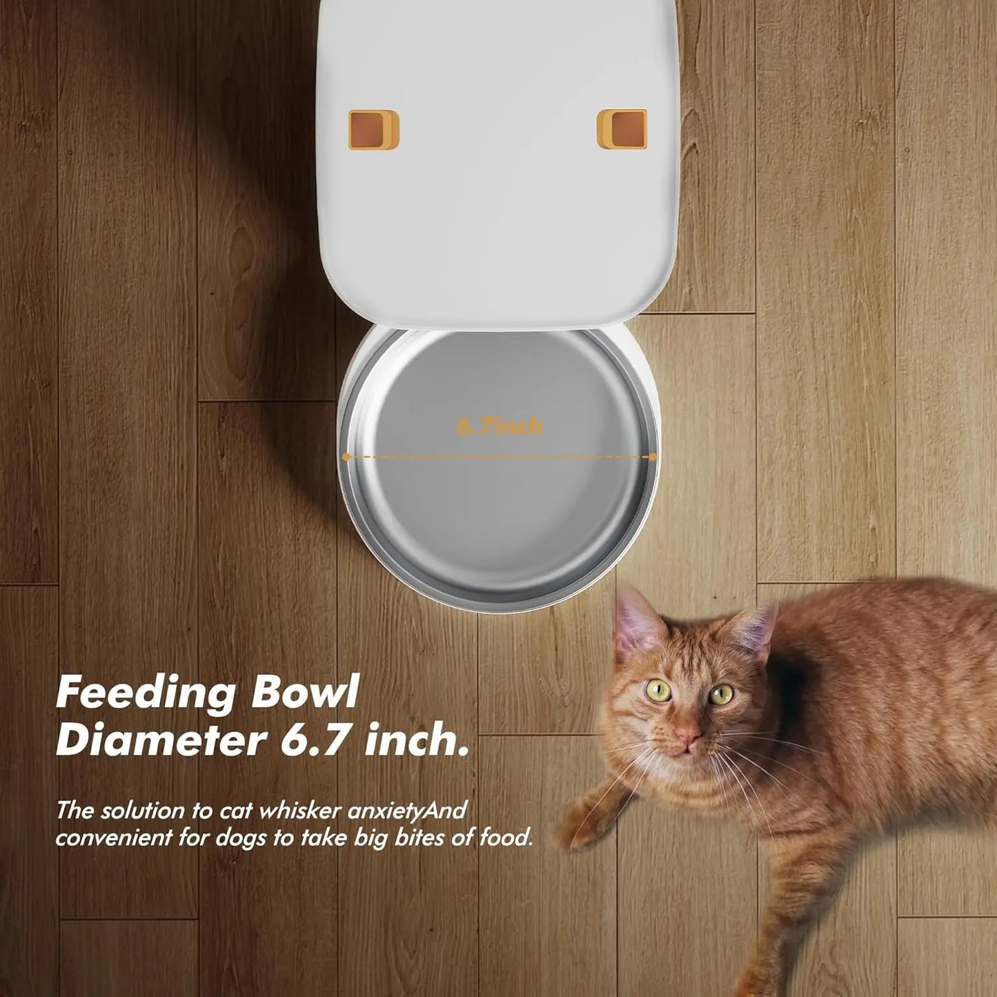 Nityers Automatic Cat Feeder With Voice Recorder And Dual Power