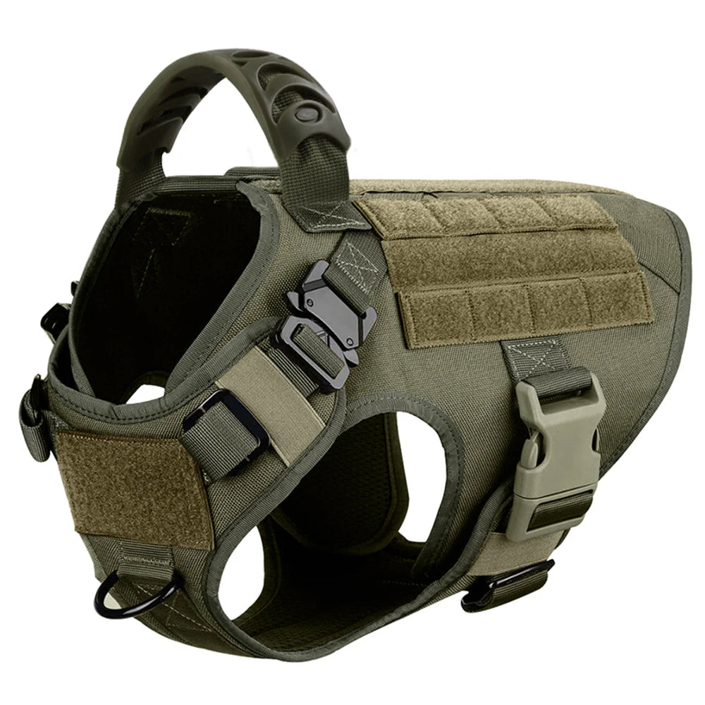 Large Dog Harness And Leash Set For Training Walks