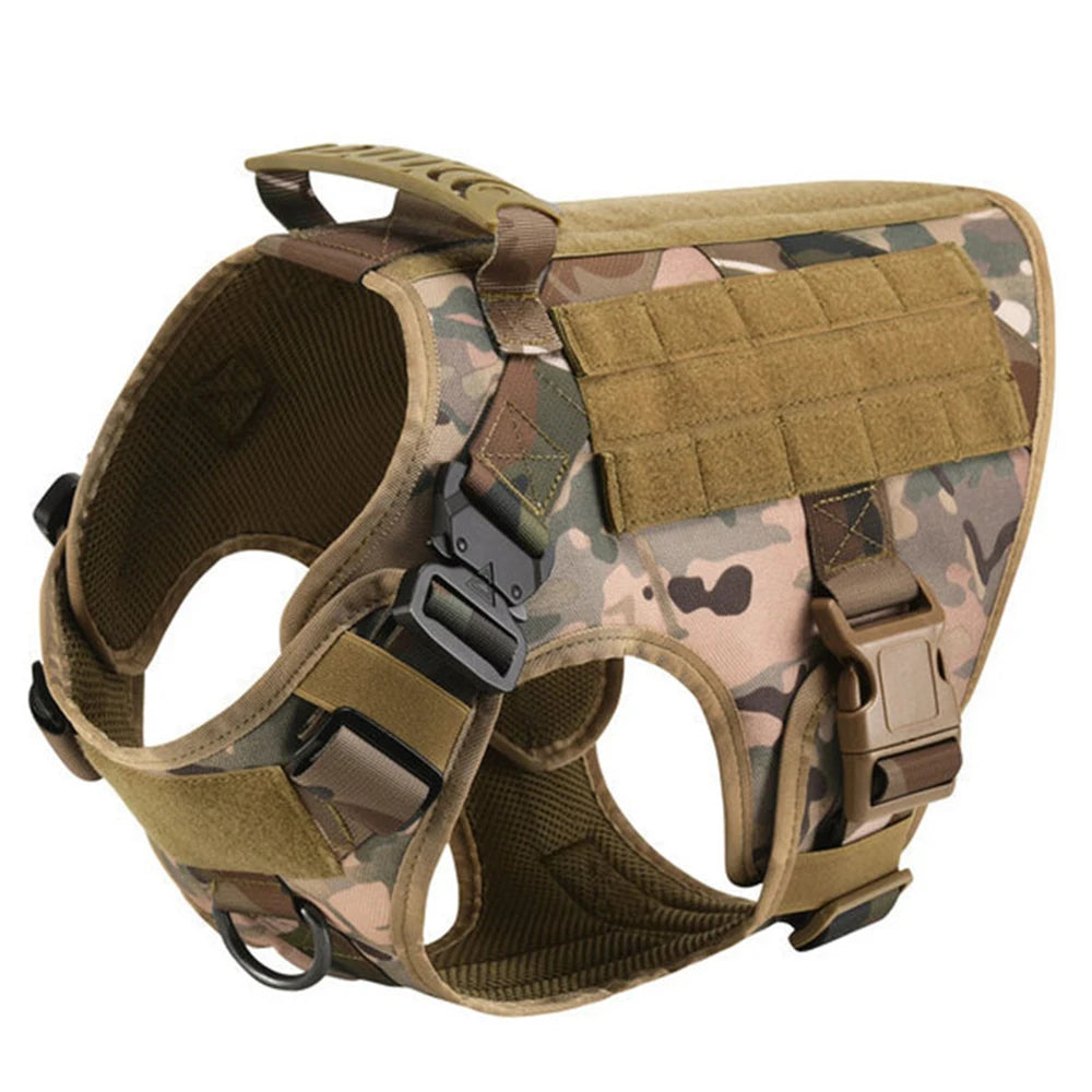 Large Dog Harness And Leash Set For Training Walks