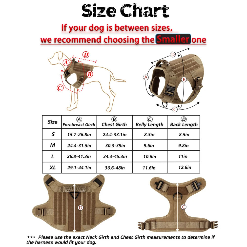 Large Dog Harness And Leash Set For Training Walks
