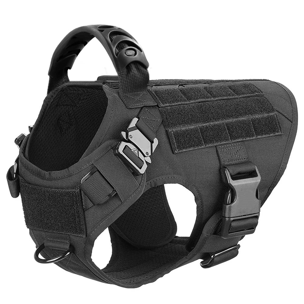 Large Dog Harness And Leash Set For Training Walks