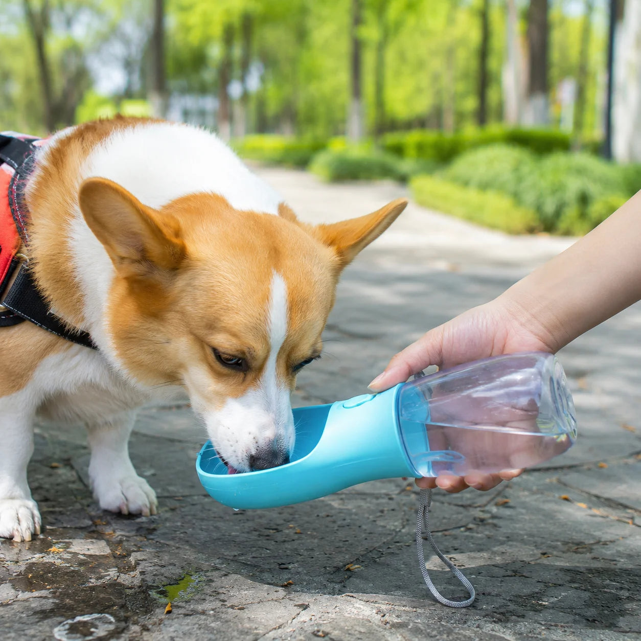 Portable 3-In-1 Pet Travel Dispenser Water Bottle and Bowl